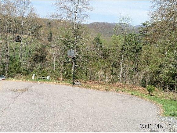 57 Farmstead Rd unit 21, Leicester, NC 28748 - photo 1