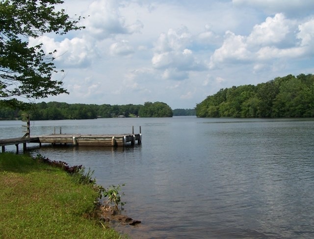 Main View