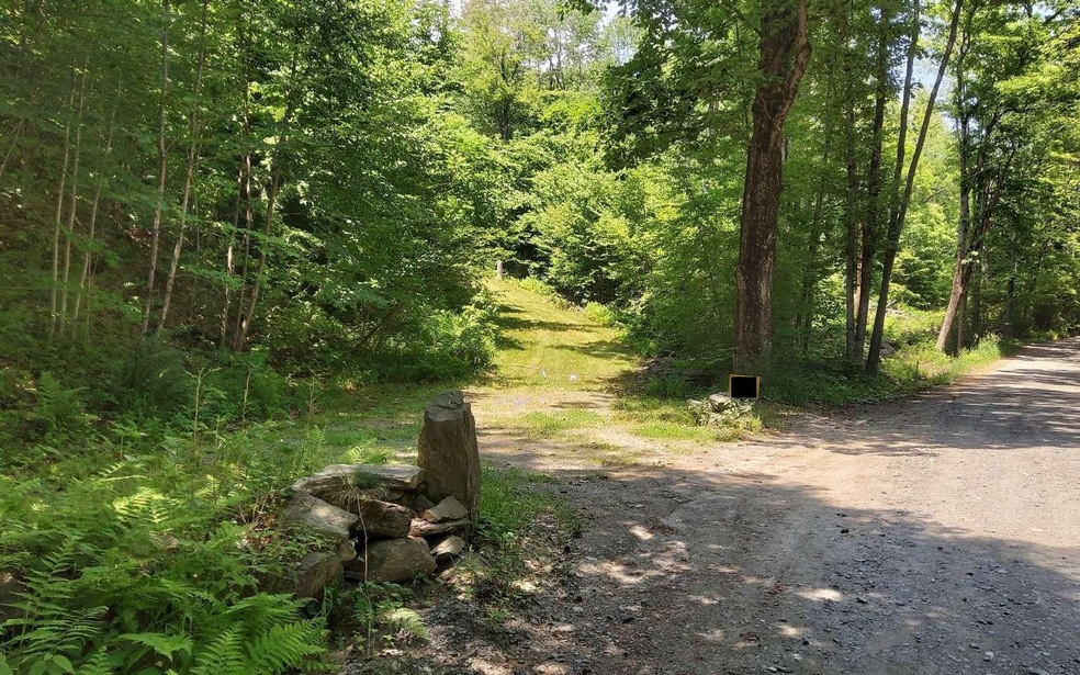 Lot #3 Borough Rd, Charlestown, NH 03603 - photo 1