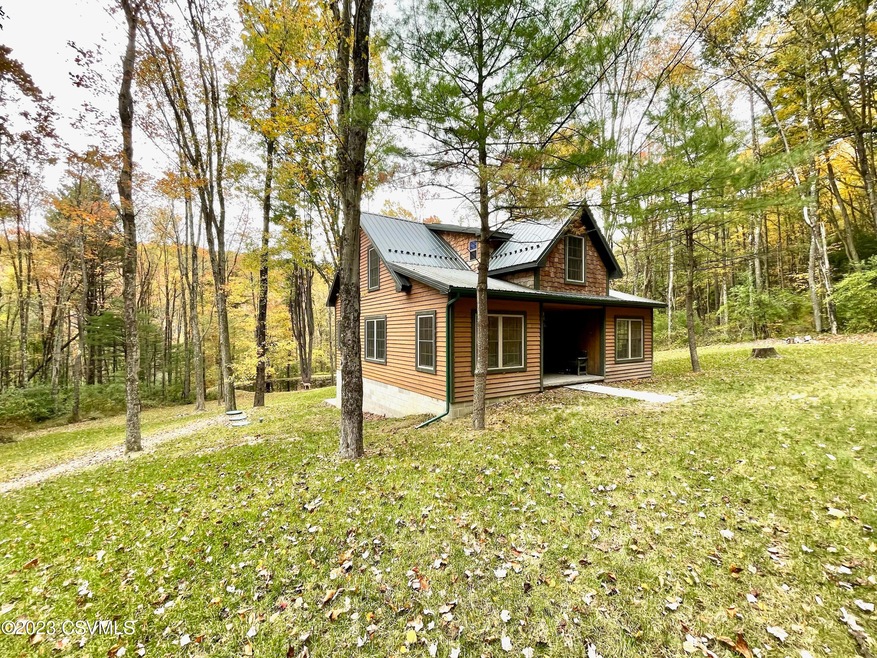 1190 Neufer Hollow Rd, Muncy, PA 17756 - photo 1