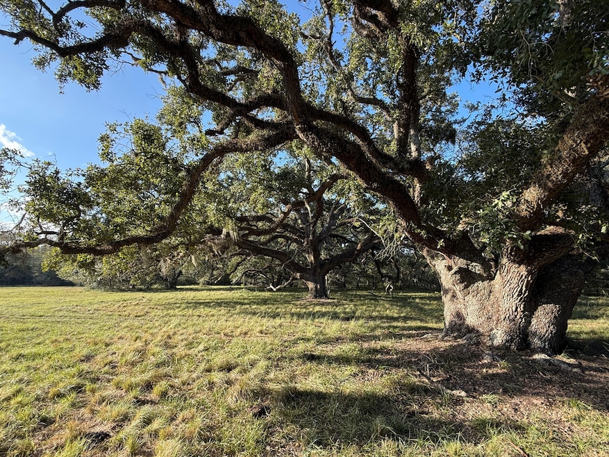 31619 Texas 36, West Columbia, TX 77486 - photo 1