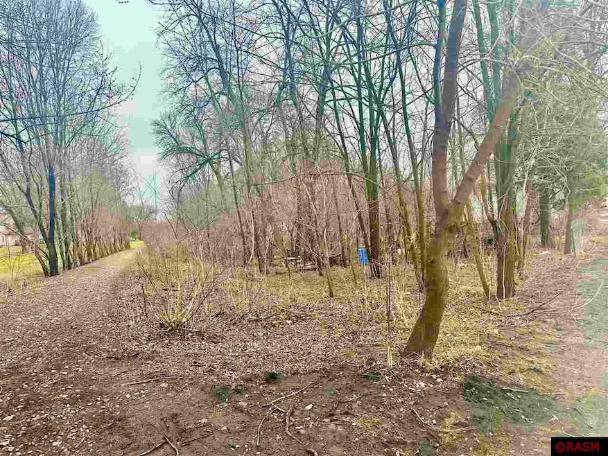 318 Winter Ave, Albert Lea, MN 56007 - photo 1