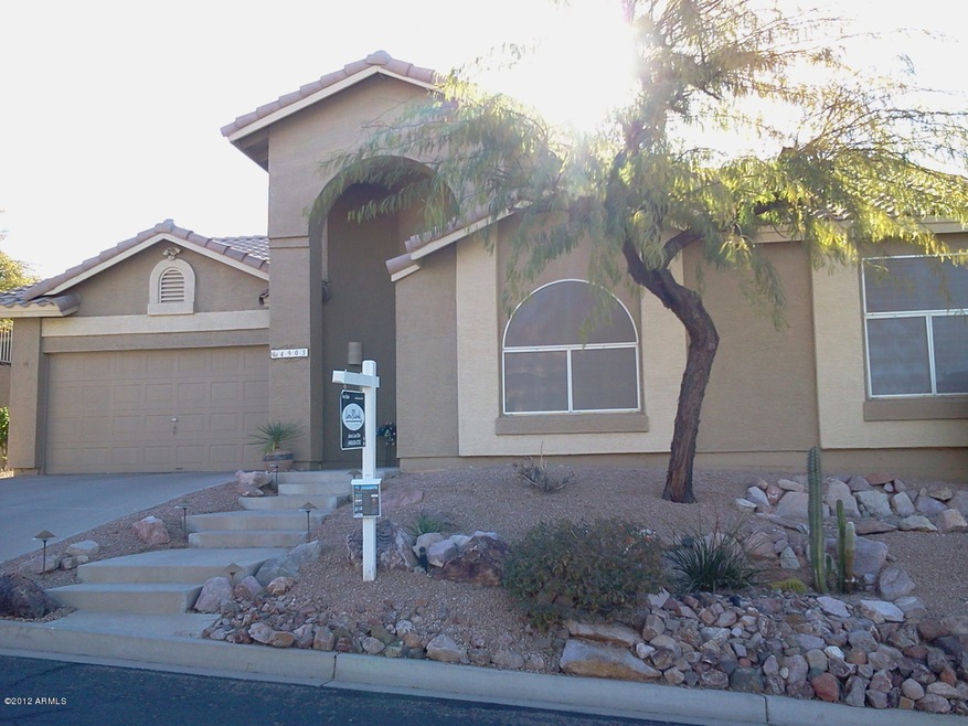 Front Desert Willow