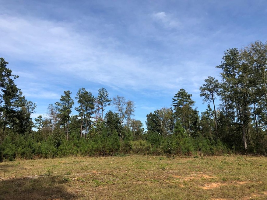 59.65 Ac White Rock Rd, Lincolnton, GA 30817 - photo 1