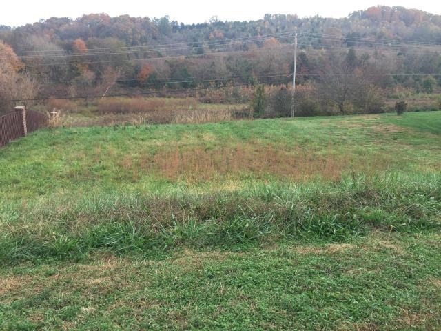 12336 Conner Springs Ln, Knoxville, TN 37932 - photo 1