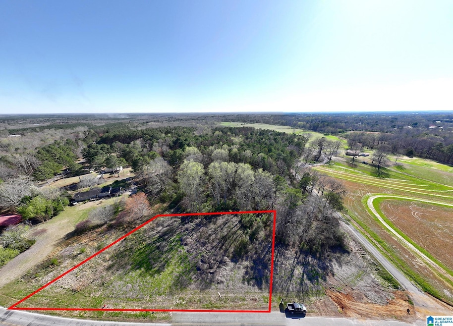 0 Lamon Chapel Rd unit 1/3 21415274, Jasper, AL 35503 - photo 1