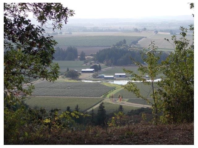 6600 SE Sartore Rd, Amity, OR 97101 - photo 1