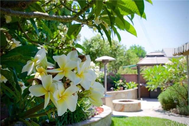 Welcome to your Gorgeous Backyard!