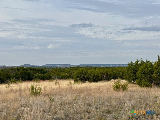 Unassigned County Road 3270, Kempner, TX 76539 - photo 1