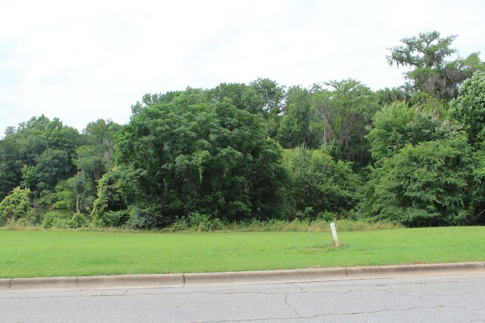 344 Osprey Ridge Ct, Albany, GA 31721 - photo 1