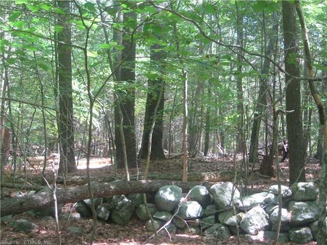 Land. 20 acres, not subdividable - STUNNING TOPO