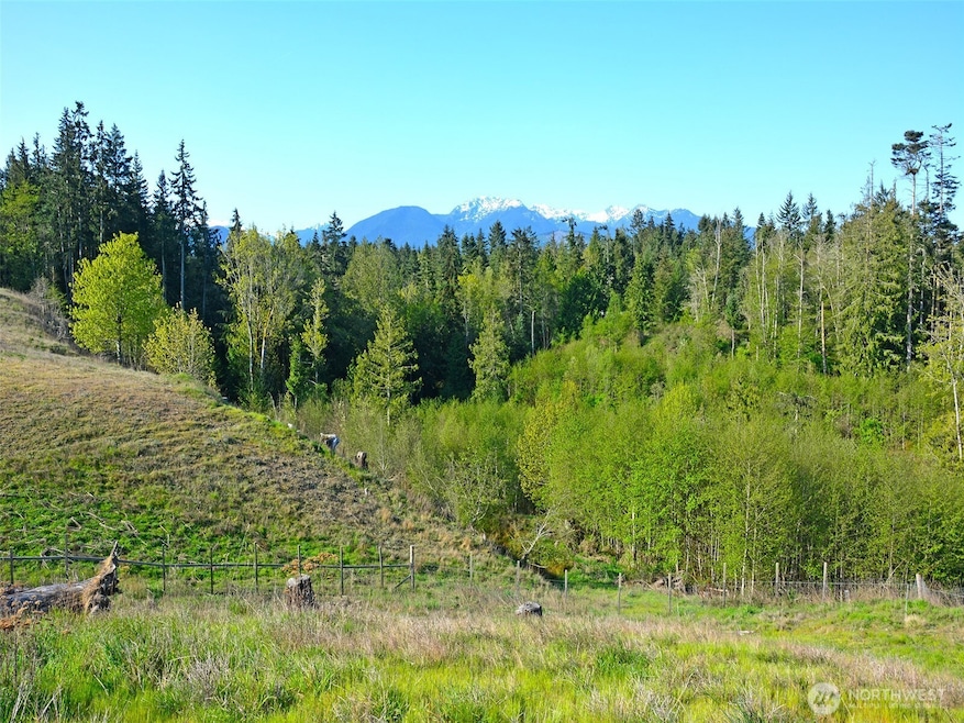 1000 Lemmon Rd, Port Angeles, WA 98362 - photo 1