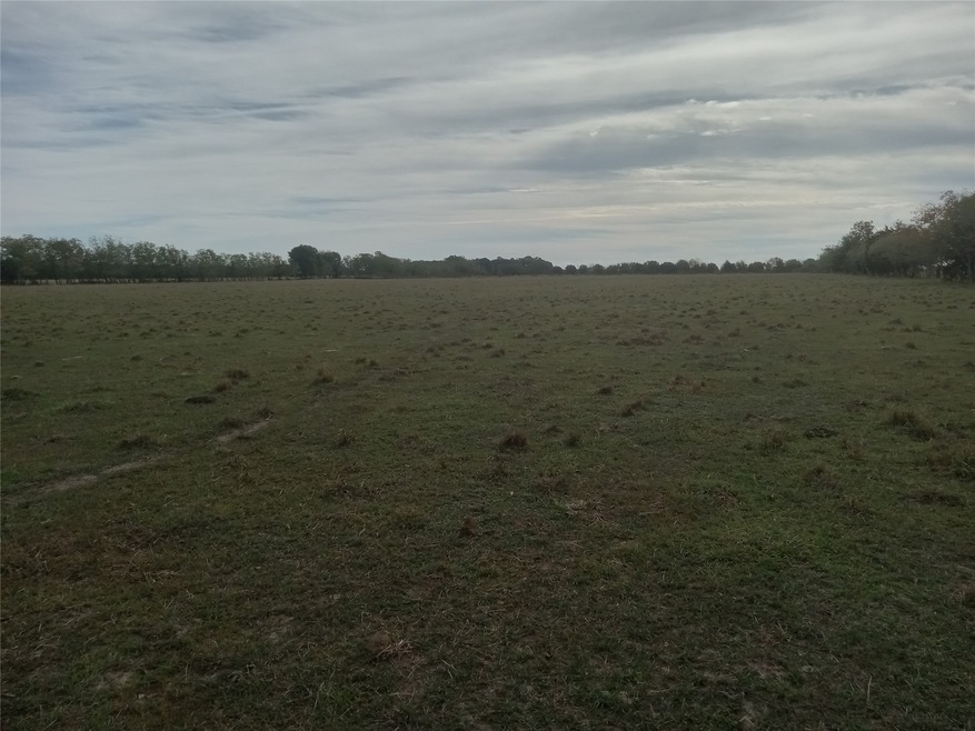 Pasture