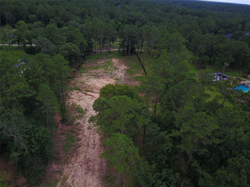 28332 Meadow Forest, Magnolia, TX 77355 - photo 1