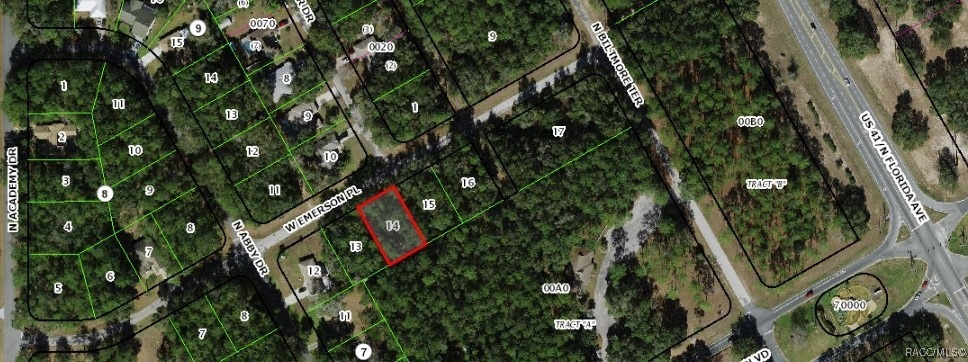 1330 W Emerson Place, Citrus Springs, FL 34434 - photo 1