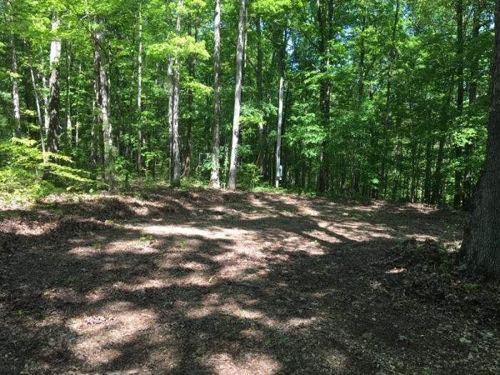 0 Highway 232 unit 2142465, Stewart, TN 37175 - photo 1