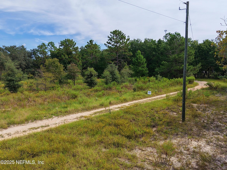 347 Chesser Monroe Rd, Hawthorne, FL 32640 - photo 1