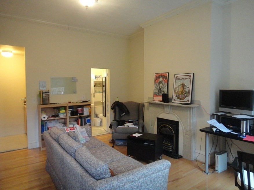 30 Worcester Square unit 5, Boston, MA 02118 - photo 1