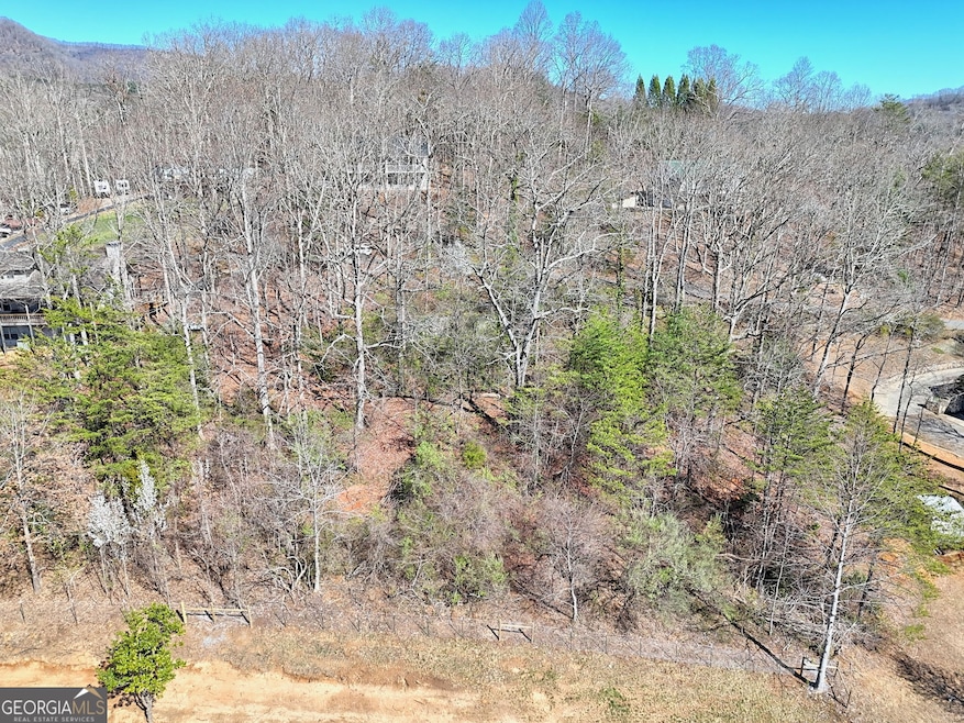 Aerial View of Lot