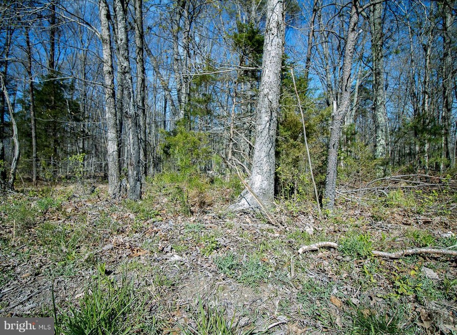 0 Price Rd unit 1002406530, Locust Grove, VA 22508 - photo 1