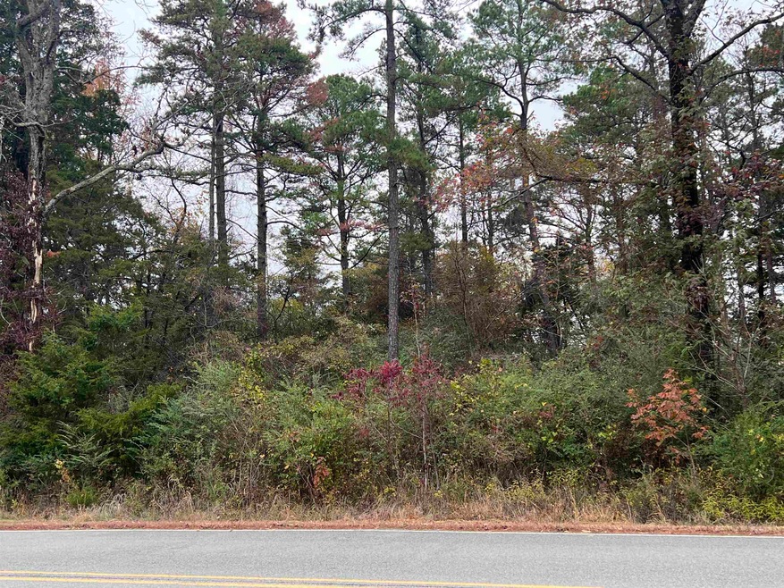 00 Empy Trail, Conway, AR 72034 - photo 1