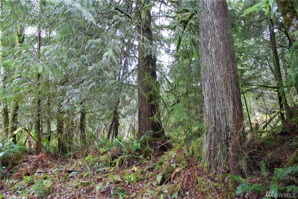 27418 E Lake Riley Rd, Arlington, WA 98223 - photo 1