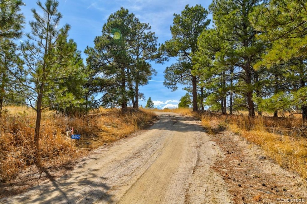 18673 N Elbert Rd, Elbert, CO 80106 - photo 1