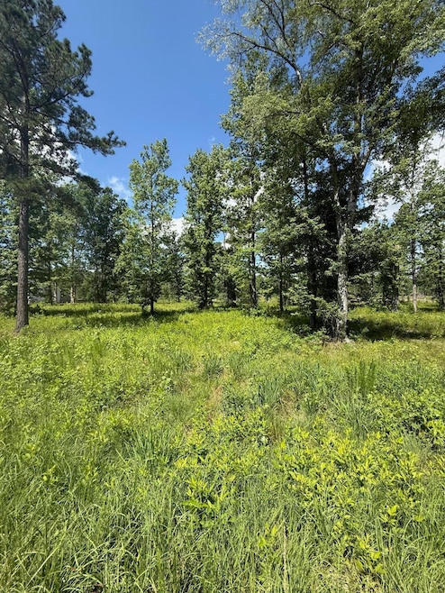 385 Shagbark Way, Harlem, GA 30814 - photo 1