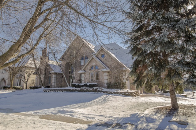 994 W Bailey Rd, Naperville, IL 60565 - photo 1