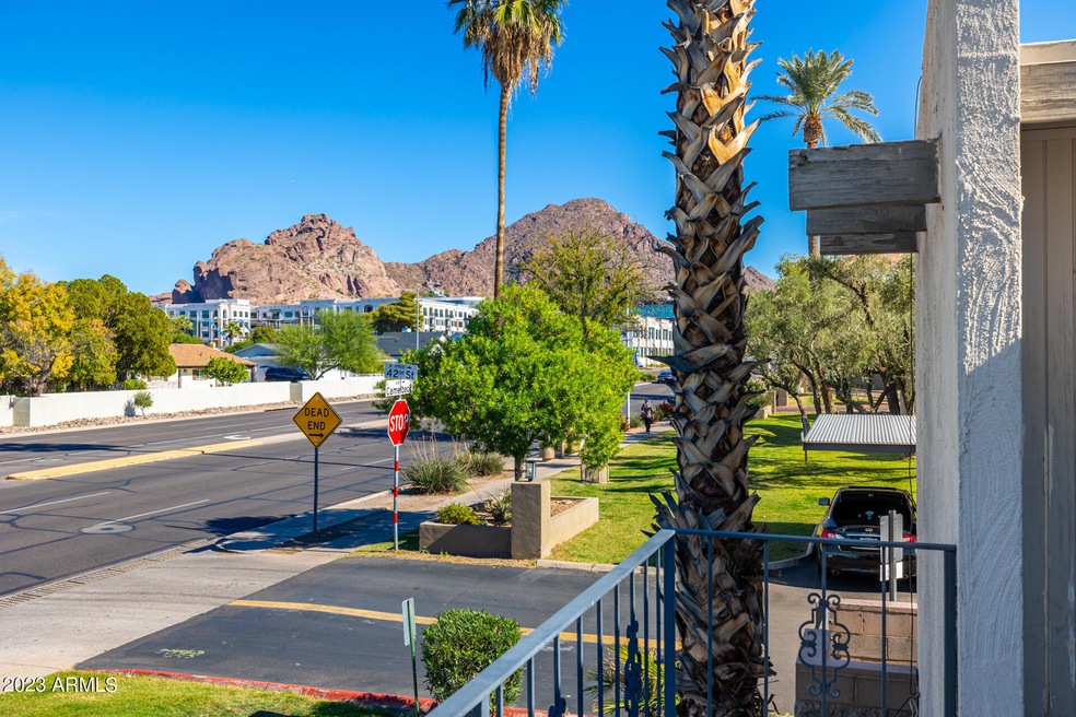 01-Camelback