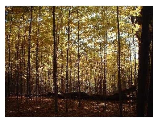 557 Weaver Hill Rd, West Greenwich, RI 02817 - photo 1