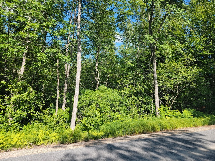 TBD Staples Rd, Newfield, ME 04095 - photo 1