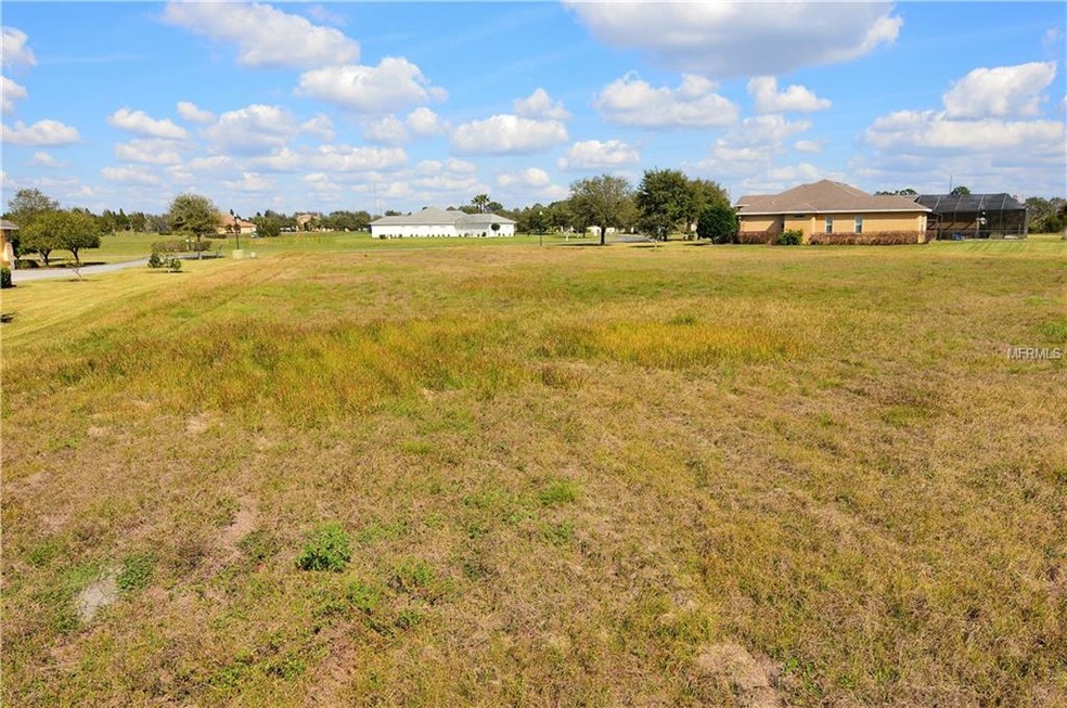 9710 Preakness Stakes Way, Dade City, FL 33525 - photo 1