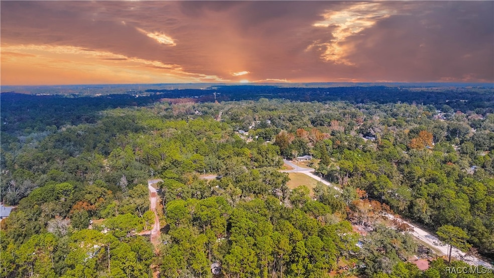 419 N Florene Point, Crystal River, FL 34429 - photo 1