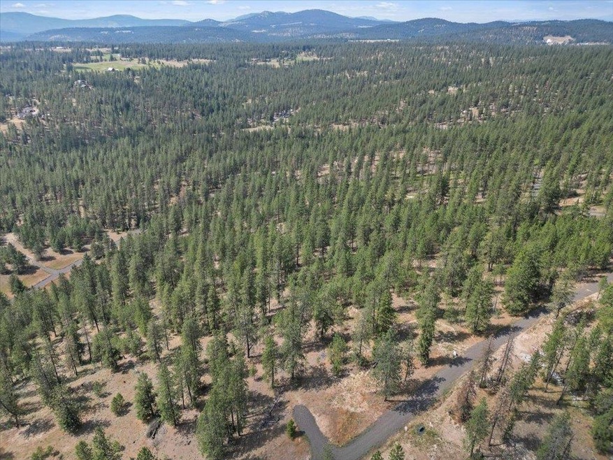 NKA Weaver Way unit Lot D of Lot 6, Deer Park, WA 99006 - photo 1