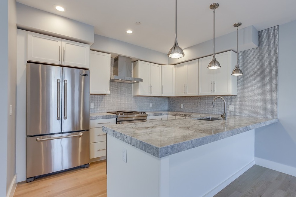 150 W Broadway unit PH1, Boston, MA 02127 - photo 1