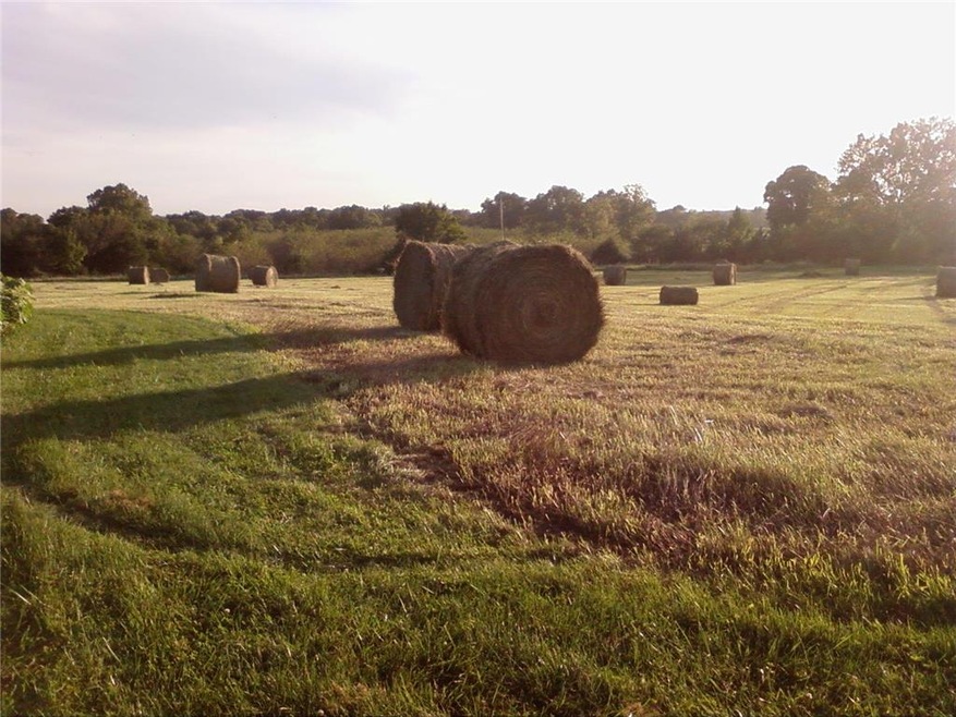 BALED HAY
