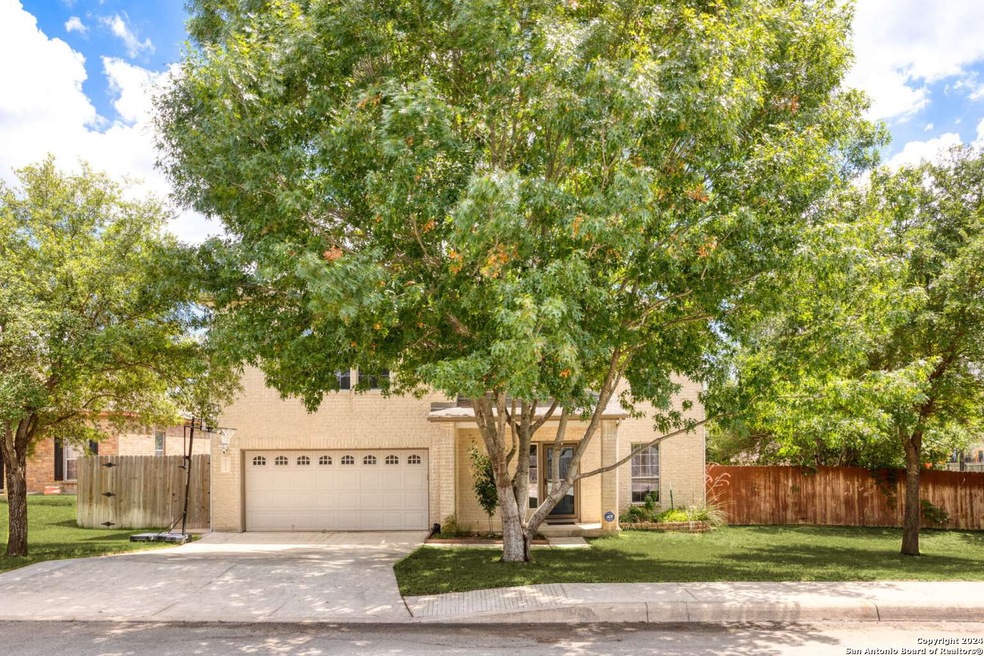 10534 Cosmos Canyon, Helotes, TX 78023 - photo 1