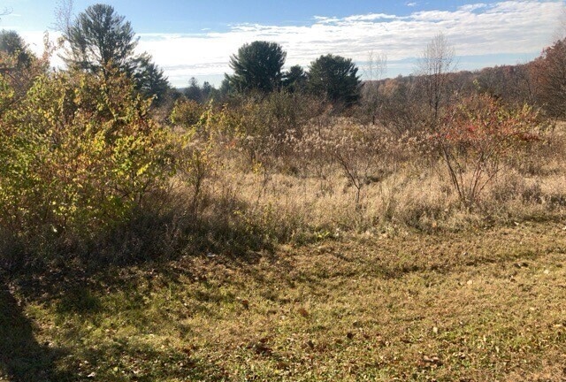 unlisted-address, Dixon, IL 61021 - photo 1