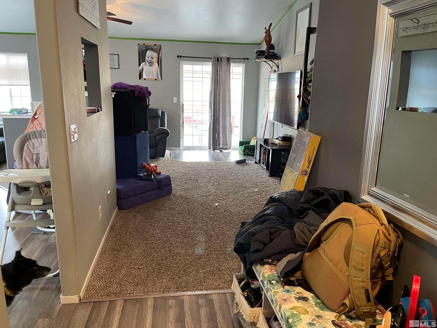 332 Dianna Way, Fallon, NV 89406 - photo 1