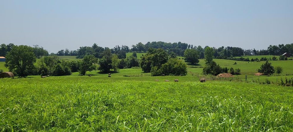 10.99 AC Eckles Cemetery Rd, Livingston, TN 38570 - photo 1