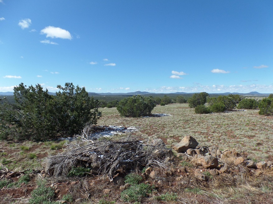 View of property