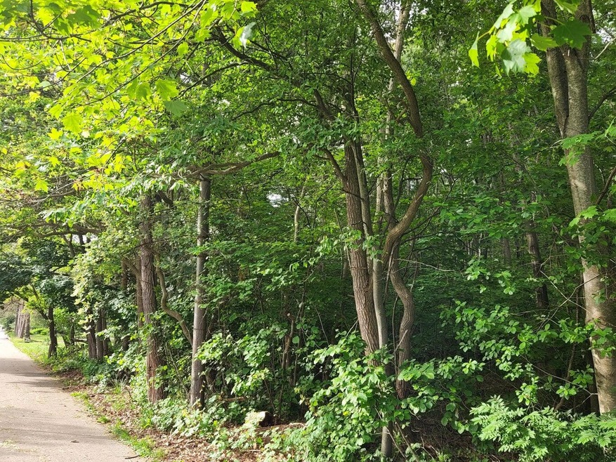 Robbins Rd