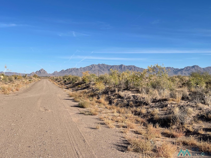 XXXX Pecos Rd SW, Deming, NM 88030 - photo 1
