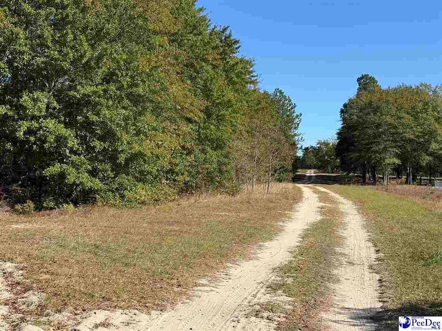 Lot 25 Norwood Farms, McBee, SC 29101 - photo 1