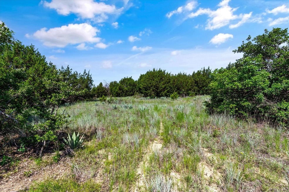 106 Valley View Ct, Springtown, TX 76082 - photo 1