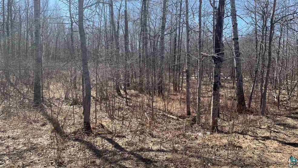 49XX Radar Rd, Hermantown, MN 55811 - photo 1