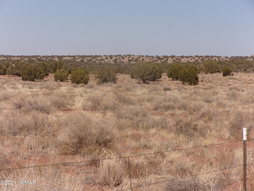 properties March 023
