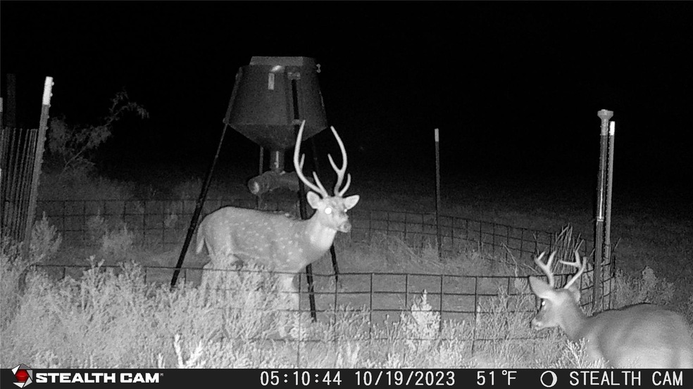 10500 Cr 131, Brownwood, TX 76801 - photo 1