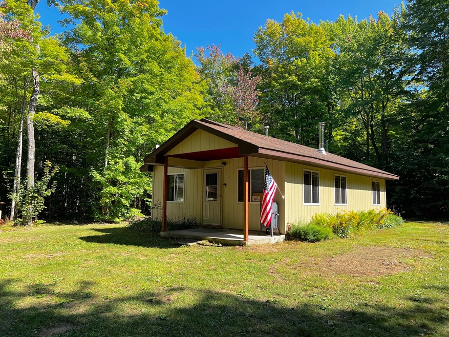 8085 Fisher TRL, Newberry, MI 49868